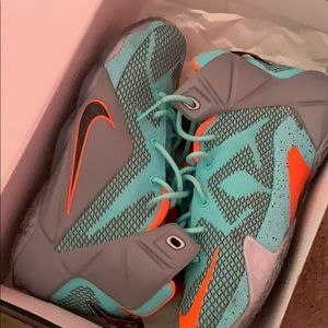 Lebron 12s
